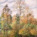 Automne, Peupliers, Eragny en 1894