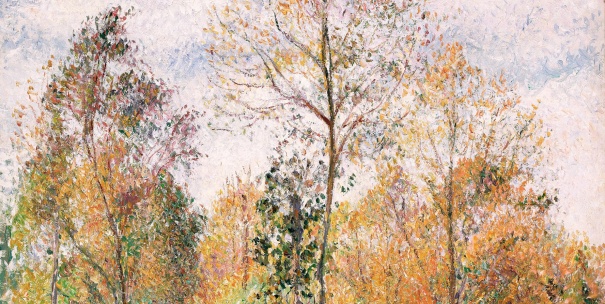 Visualiser le tableau Automne, Peupliers, Eragny