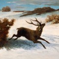 Cerf courant dans la neige