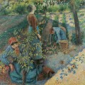 La Cueillette des Pommes en 1886