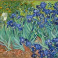 Iris en 1889