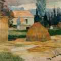 Paysage près d'Arles en 1888