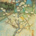 Poirier en Fleurs en 1888